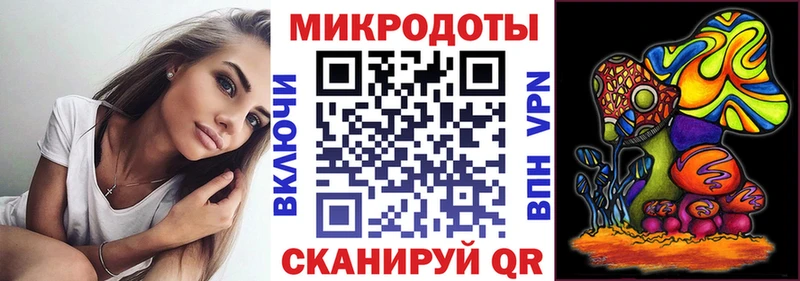 Галлюциногенные грибы Psilocybine cubensis Карабулак
